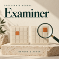 Opcelerate Neural Examiner product cover: before & after